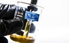 cbd research, cannabis science