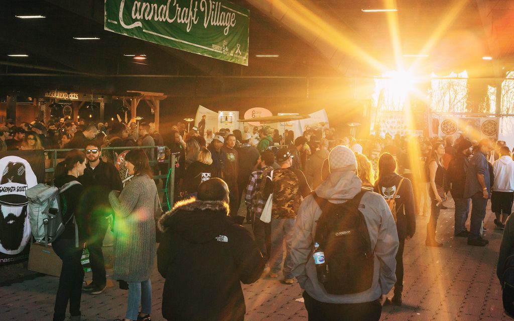Cannabis events are back! A file photo of the Emerald Cup. (Courtesy Emerald Cup)