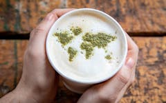 world history of cannabis edibles; hand holding latte art of world map