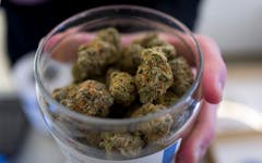 cannabis industry jobs, getting a job in the cannabis industry, michigan, marijuana