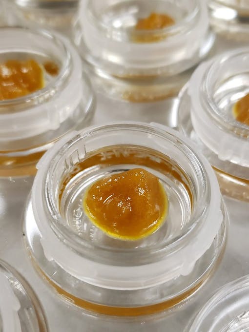 Leafly's favorite concentrates, leafly faves, Refine GMO Resin, cannabis concentrates, marijuana, dabbing resin