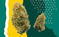 Leafly's favorite flower, best marijuana flower