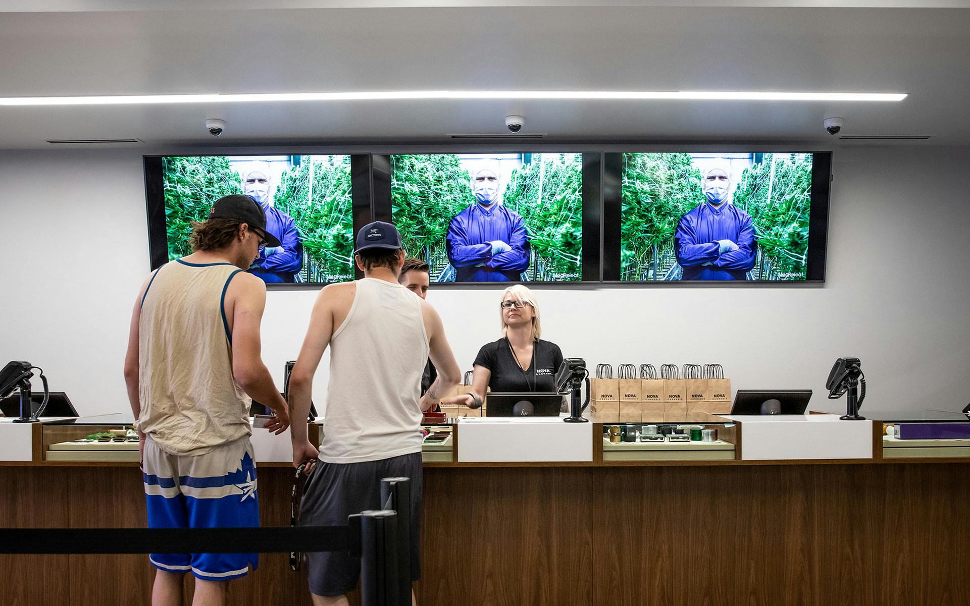 Stats Canada report: $908M worth of cannabis sold in first year of legalization image