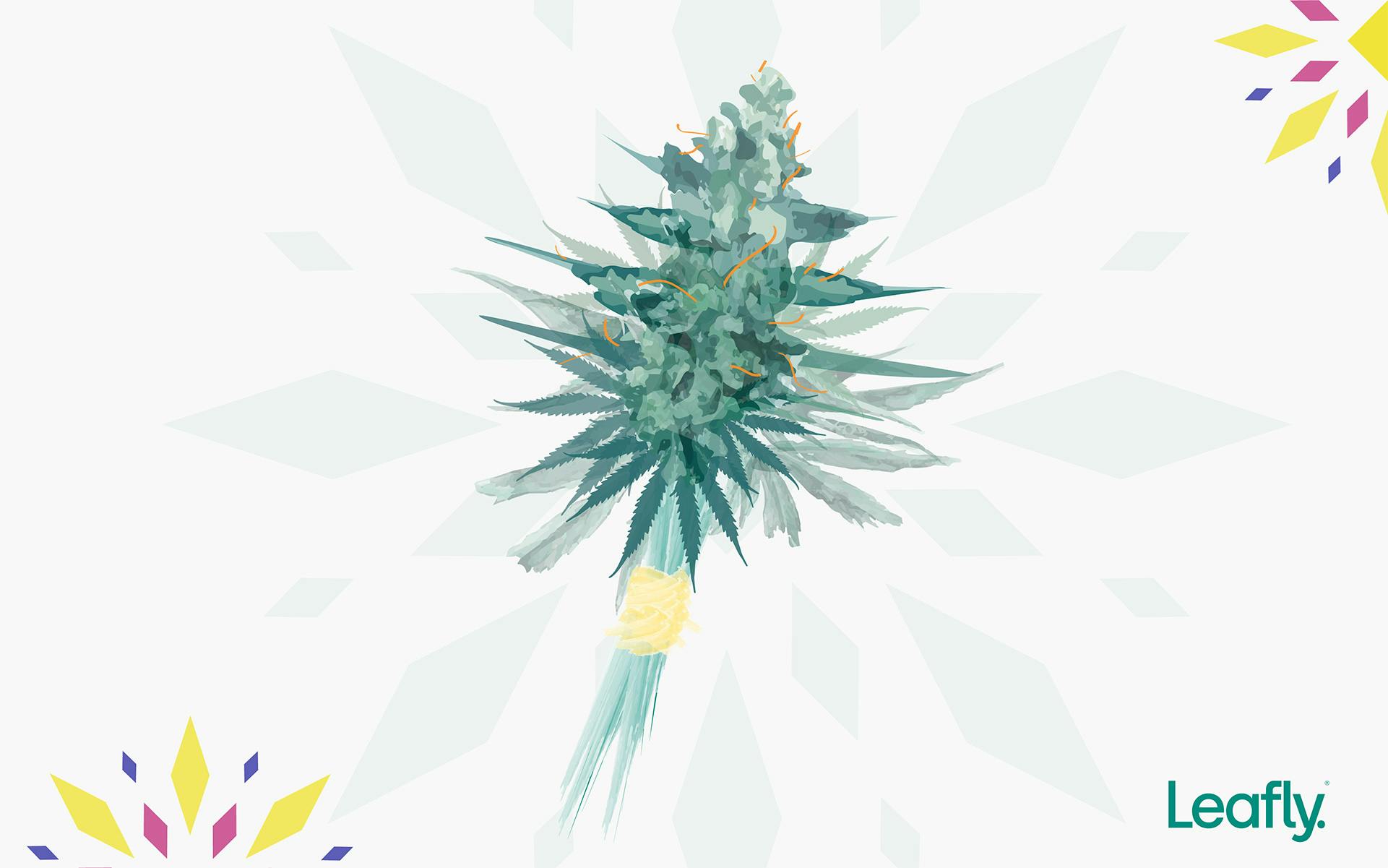 Leafly's strain of the year 2019 image