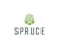 Spruce CBD