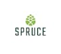 Spruce CBD