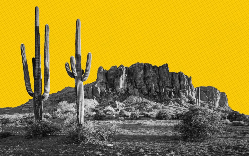 Best Rated Dispensaries In Arizona 2022 Edition | Leafly