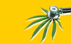 doctor-prescribe-medical-marijuana