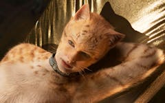 Cats Movie