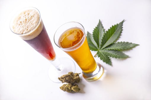 Detail of cold glasses of beer with cannabis leaf and nugs isolated over white, marijuana infused beverage concept