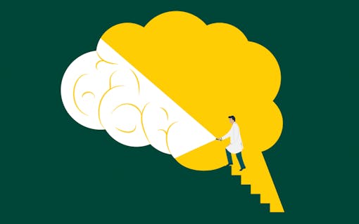 endocannabinoid system, what doctors are taught about cannabis, brain chemistry and marijuana