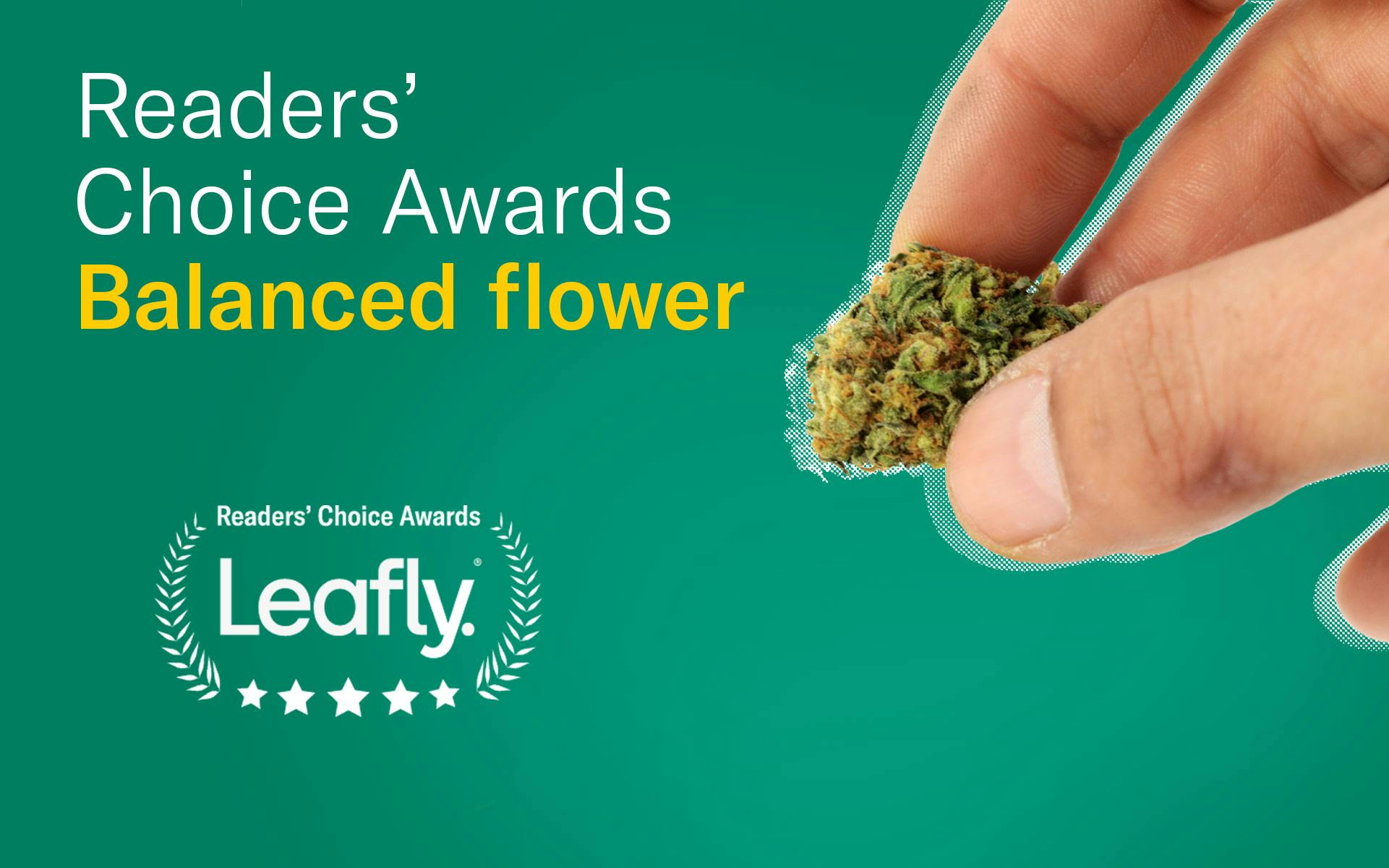 Canada’s favourite balanced flower image