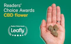 Best CBD bud in Canada