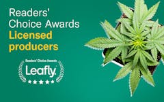 leafly canada readers choice licensed producer winner