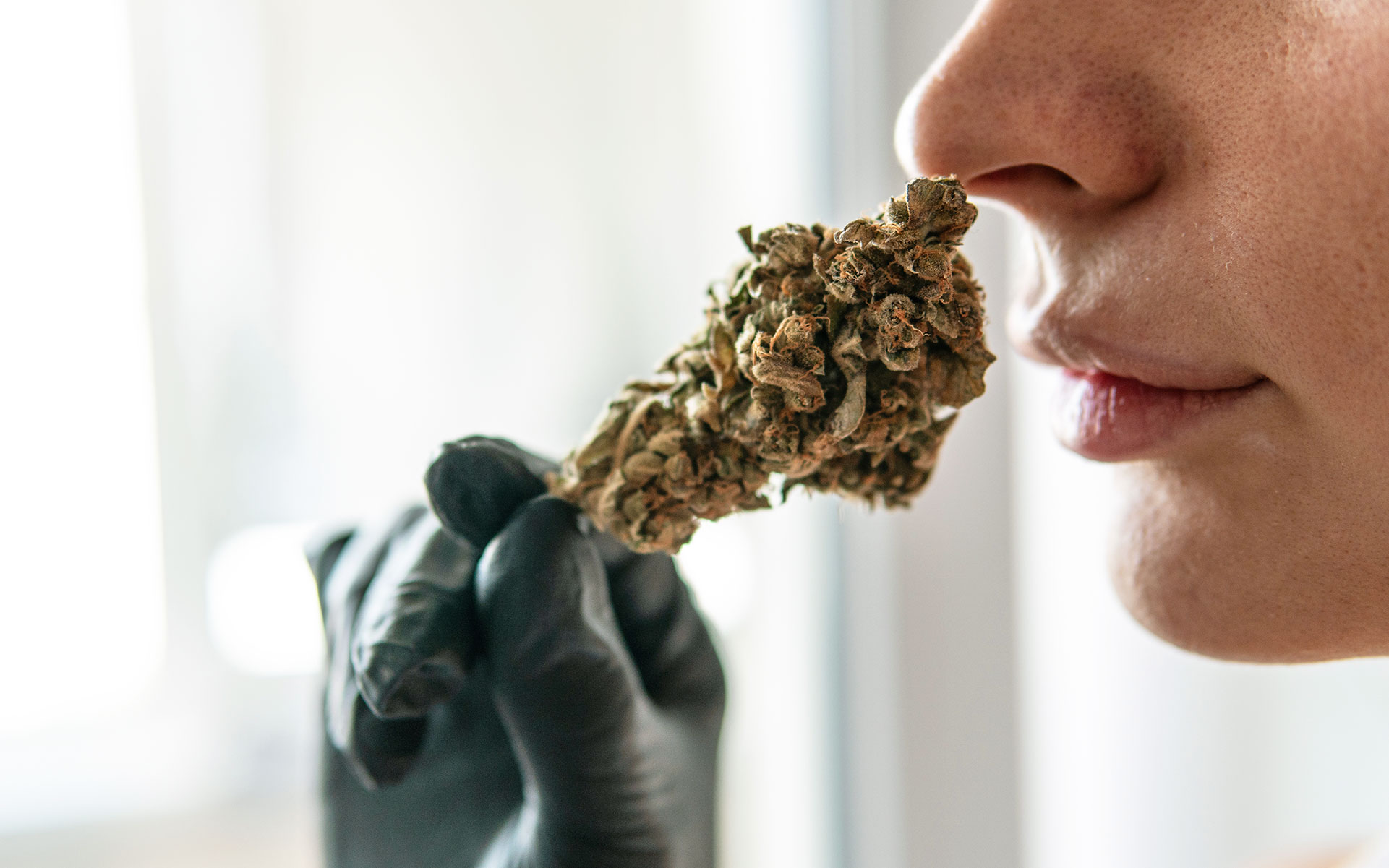 Opinion: Let us smell the legal cannabis for sale, dammit! | Leafly