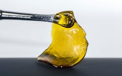 marijuana concentrate sales limits