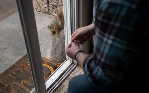 medical marijuana patient story