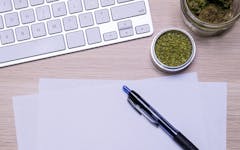 cannabis work keyboard grinder