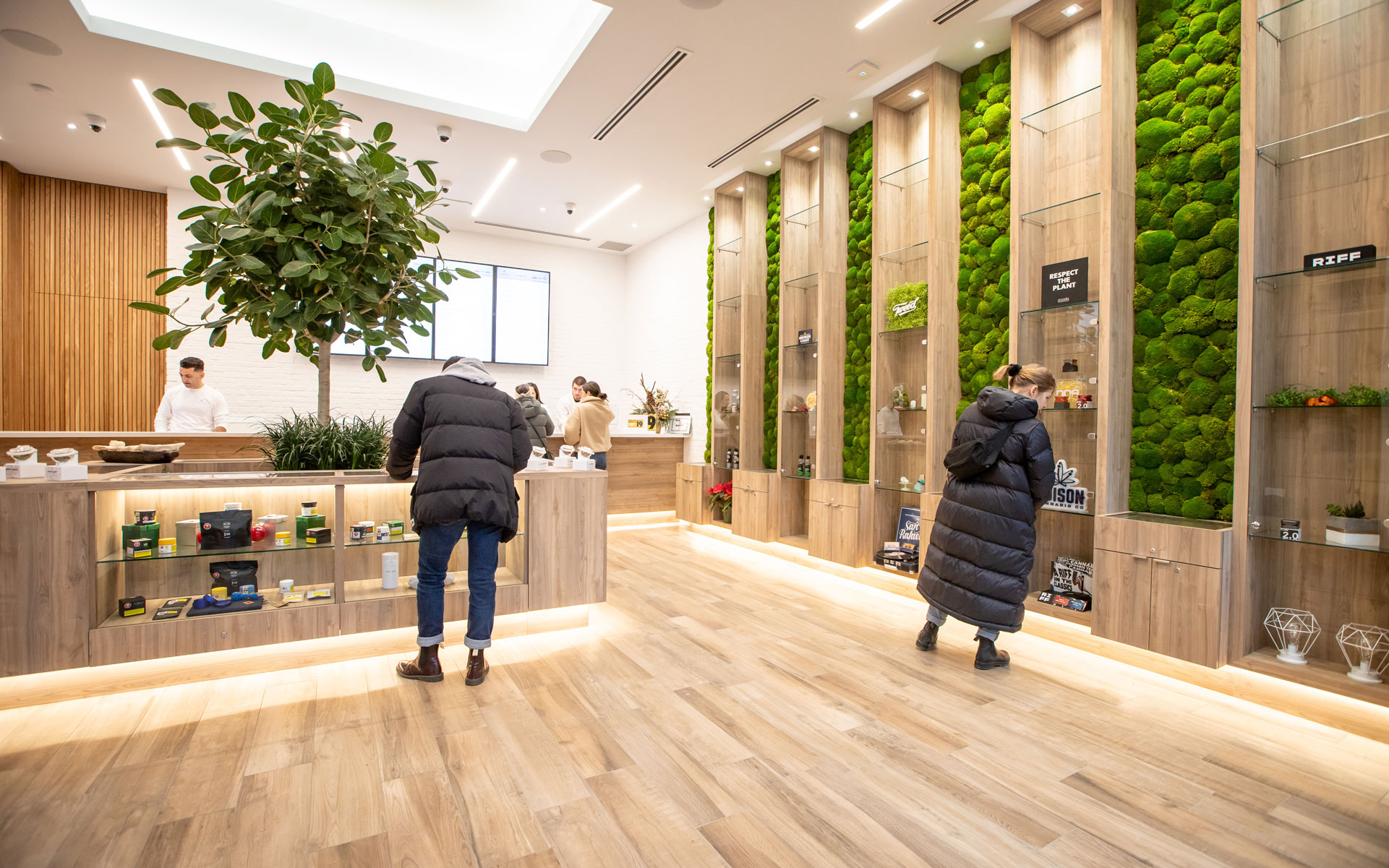 canvas cannabis toronto