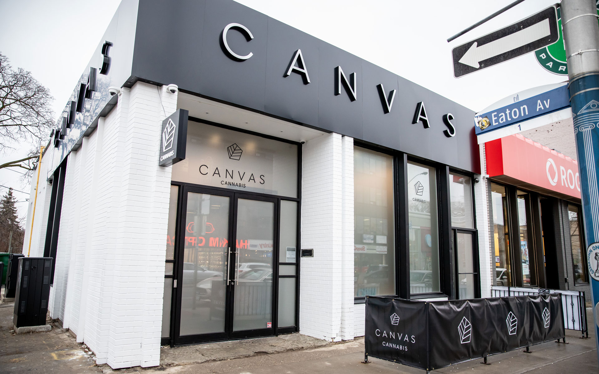 canvas cannabis toronto