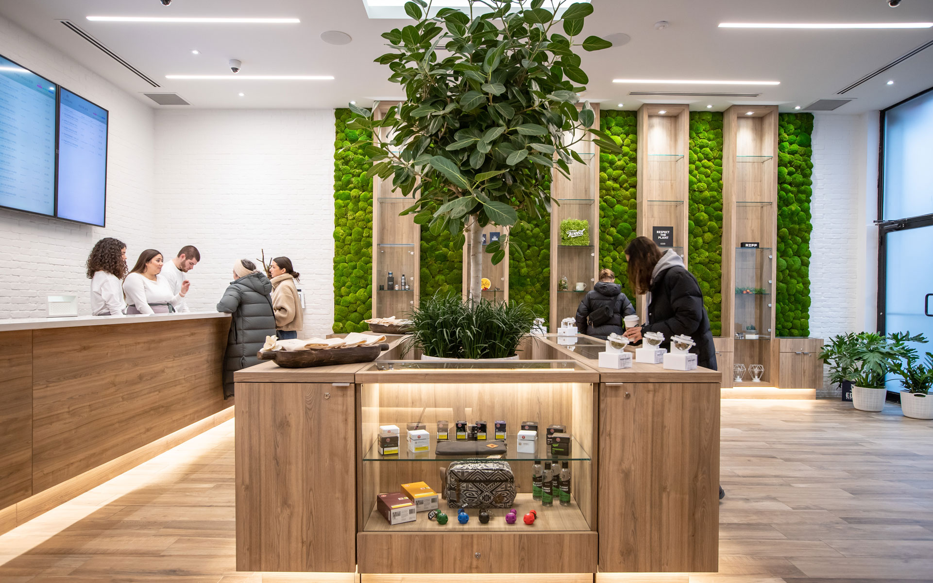 Cannabis Retail Guide: Canvas Cannabis, Toronto