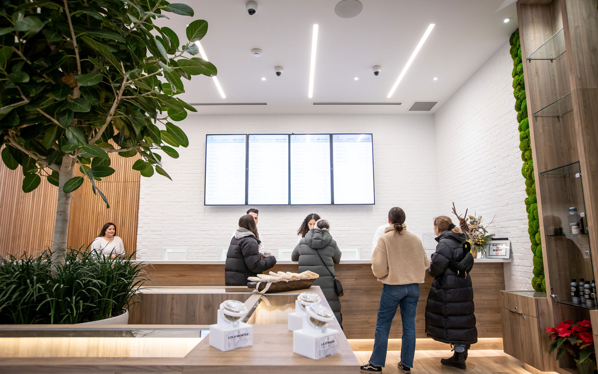 canvas cannabis toronto