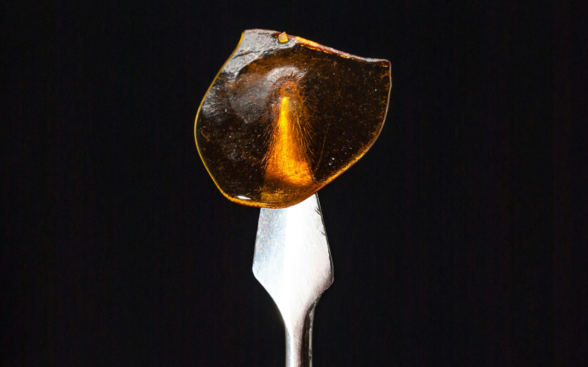After hearing, THC concentrates bill stalls in Washington legislature image