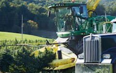 USDA CERTIFIED ORGANIC HIGH cbd and CBG HEMP, organic hemp farm, vermont hemp,