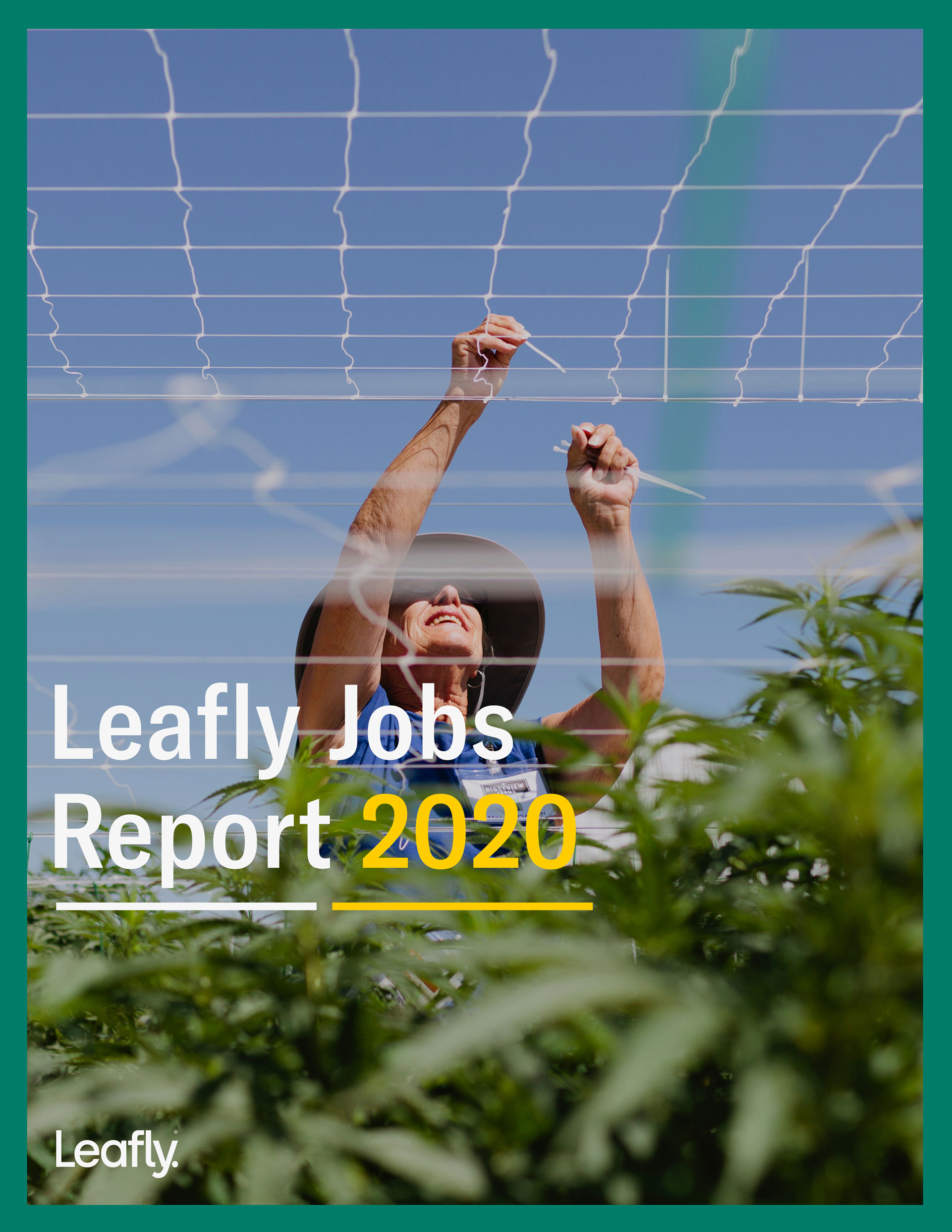 how many cannabis jobs are there in america, top ten cannabis employers, cannabis jobs count