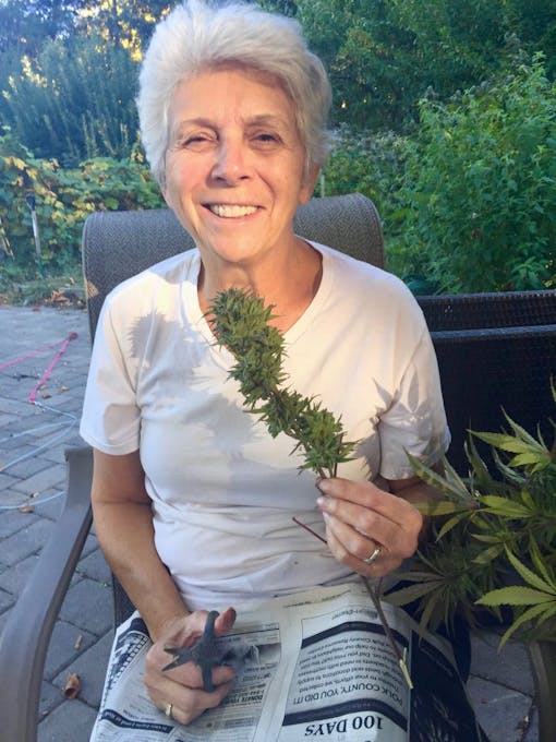 seniors enjoying cannabis, older adults consuming marijuana