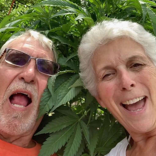 seniors enjoying cannabis, older adults consuming marijuana