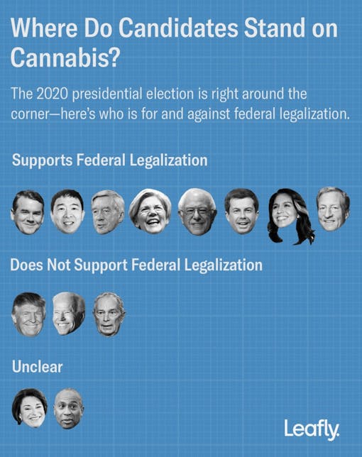 presidential candidates and where they stand on marijuana legalization