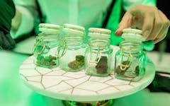 cannabis consumption space