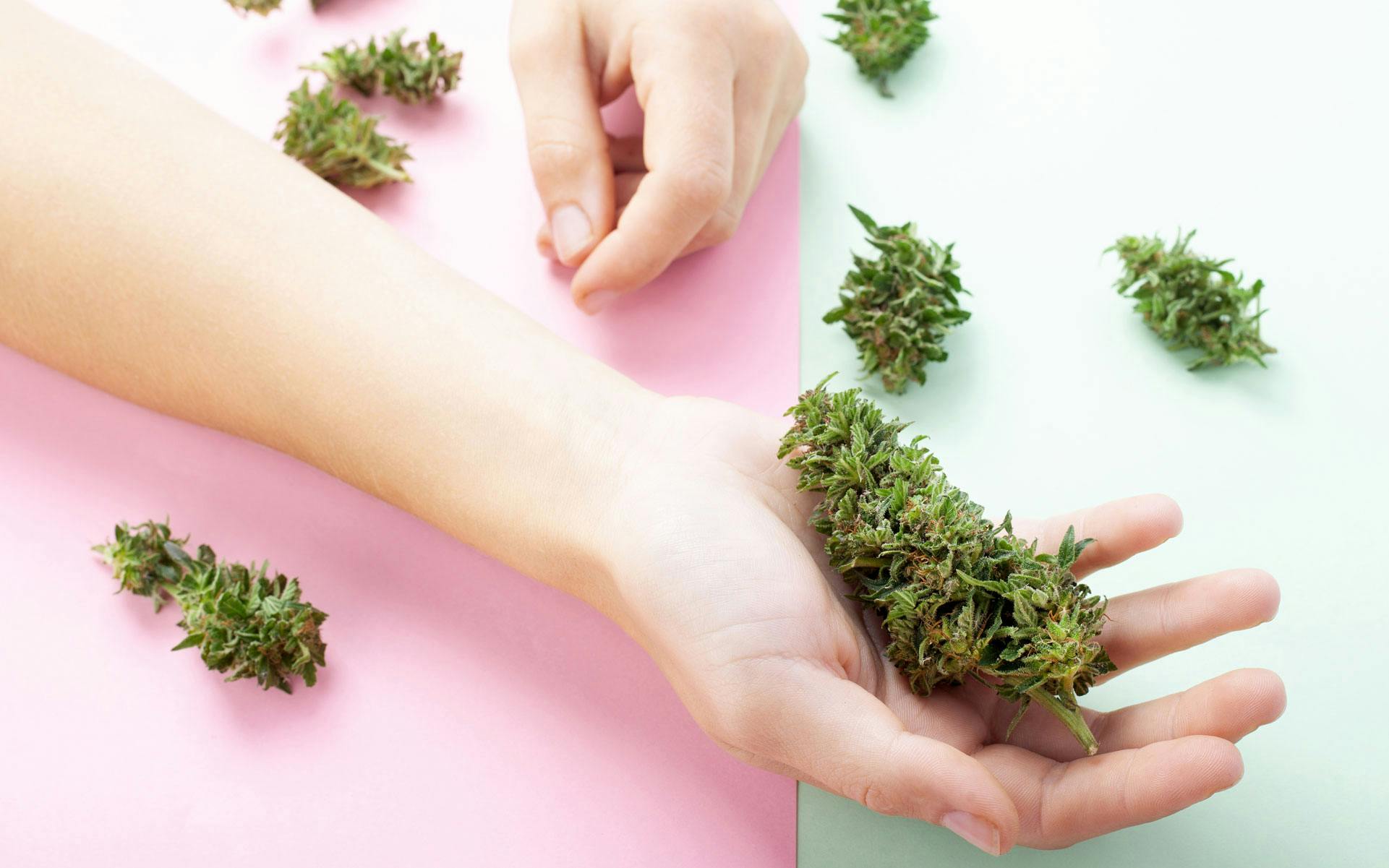 CBD for inflammation image