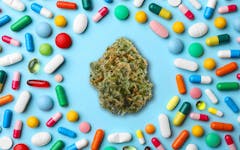 doctors prescribing marijuana