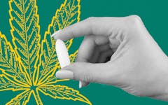 weed tampon cannabis suppository