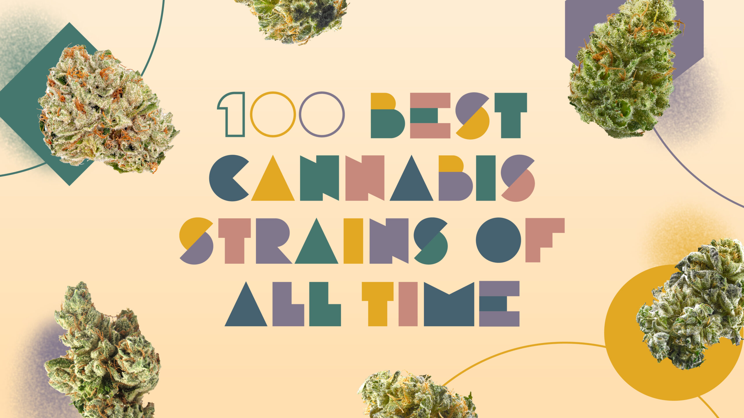 The best strains of all time 100 top cannabis strains to try