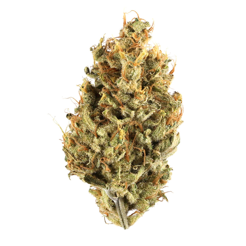 black jack marijuana strain