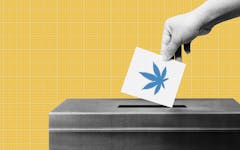 election 2020 marijuana voter guide