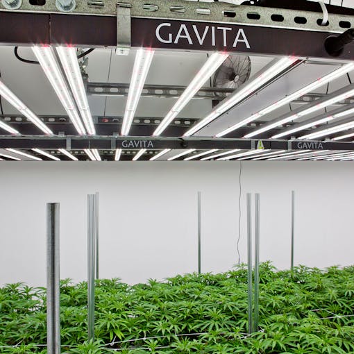 cannabis grow equipment, cannabis commercial lighting fixtures, growing marijuana, cannabis grow operational supplies