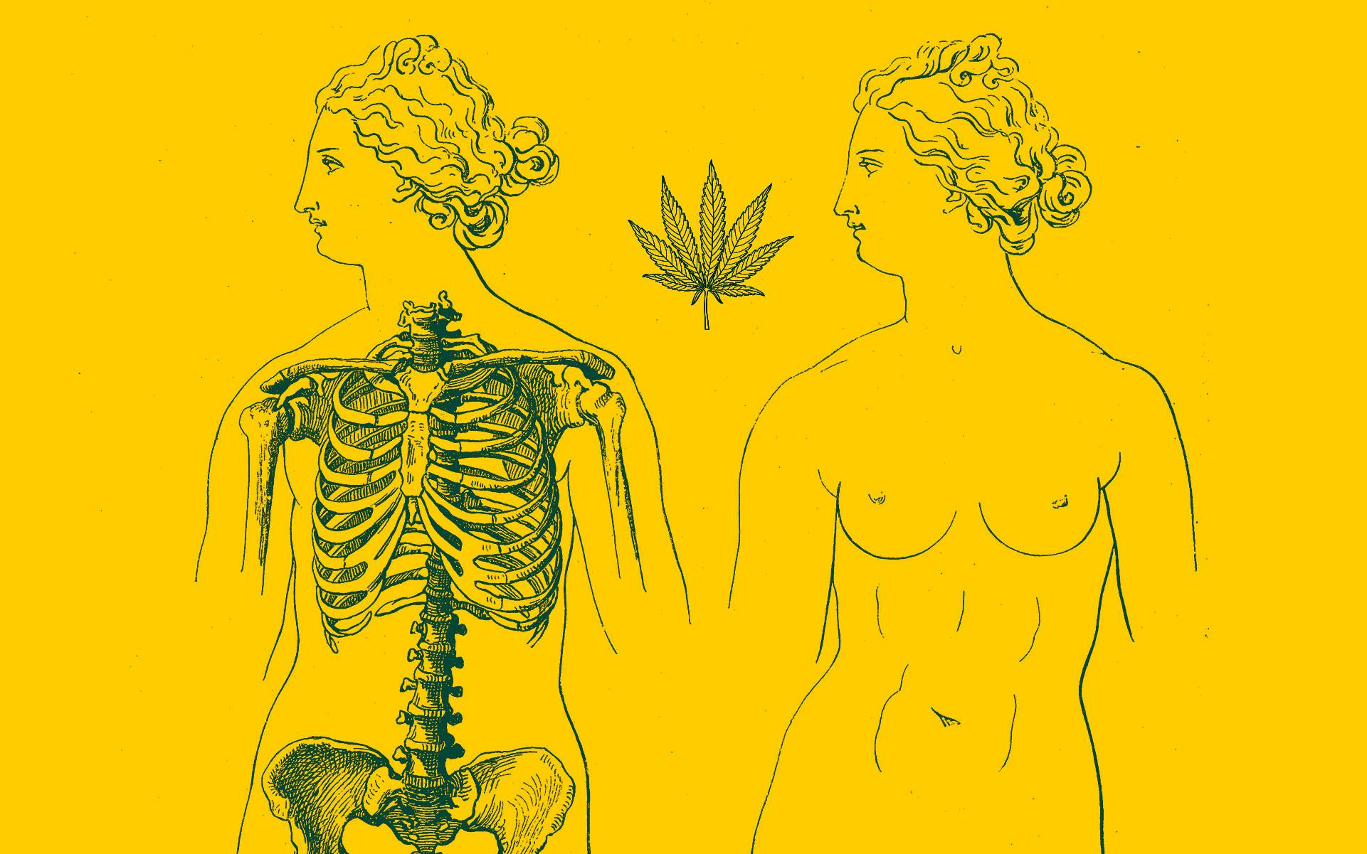 Women and weed: A history of cannabis and women’s health image