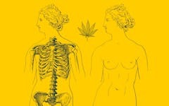 cannabis and women's health