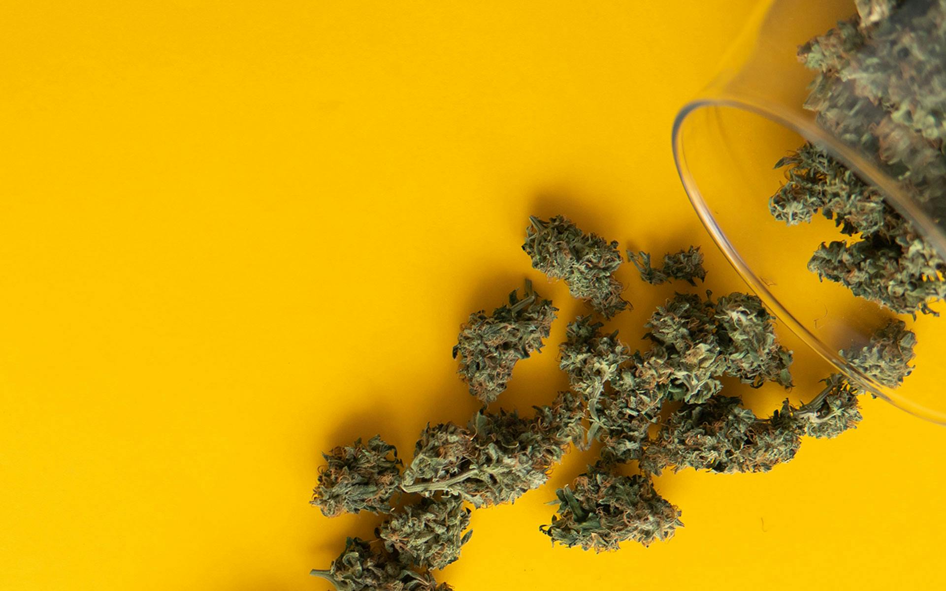 Coronavirus drives cannabis sales bump, then slump image