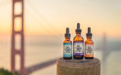 fiddlers green, tincture