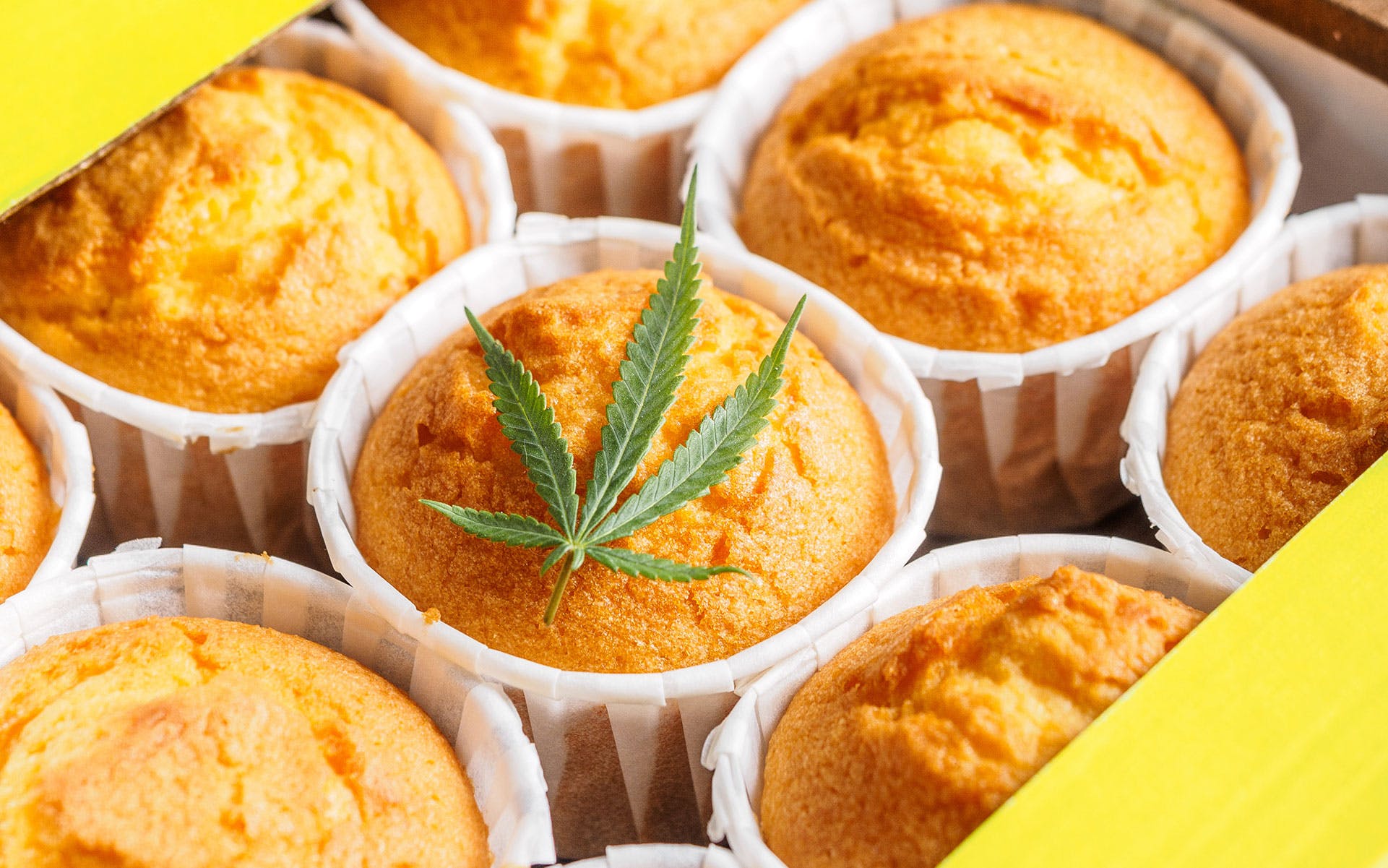 Edibles may be better than smoking cannabis during the pandemic image