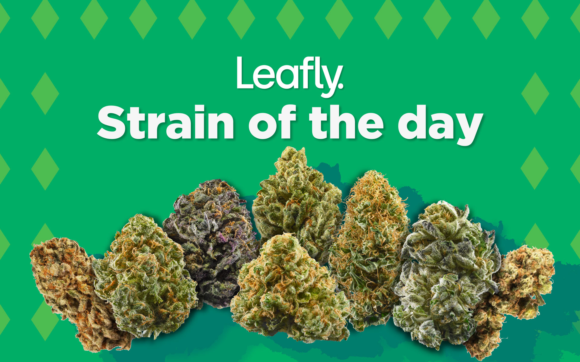 Leafly's cannabis strain of the day for the month of 420 Leafly