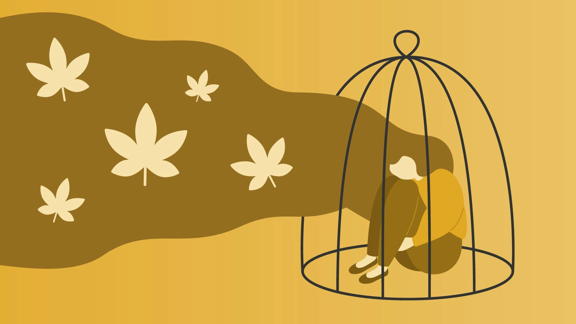 Is cannabis addictive? image