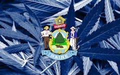 Maine-marijuana