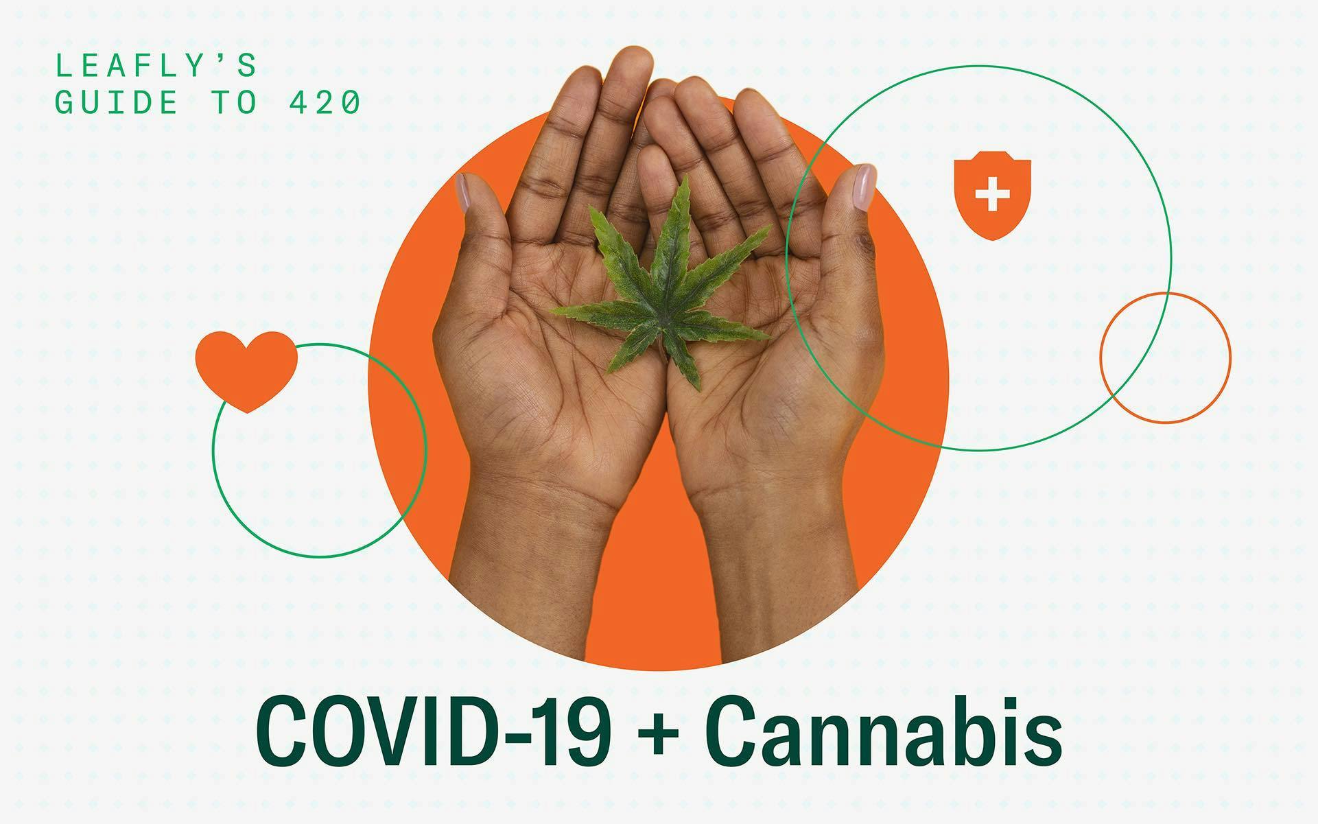Cannabis and coronavirus: Here's what you need to know image