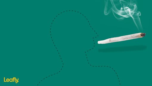 marijuana zoom background leafly